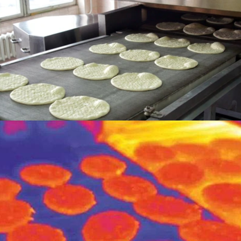 Cooked Food Inspection